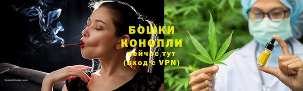 амф Аркадак