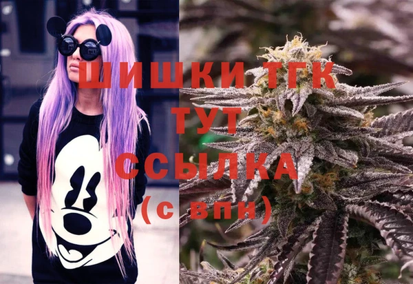 спайс Арсеньев