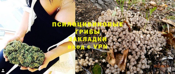 амф Аркадак