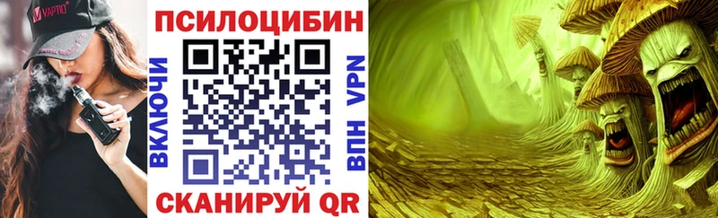Псилоцибиновые грибы MAGIC MUSHROOMS  Губкин 